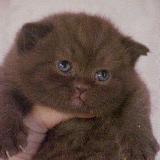 Аватар канала 2296807038