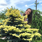 Аватарка канала Юлин сад