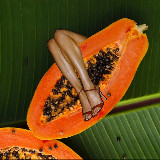 Аватарка канала Нескучный ВЕЛНЕС