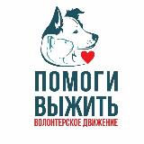 Аватарка канала Волонтеры. Якт