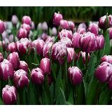 Аватар канала 1647151958