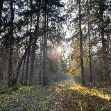 Аватарка канала Лучшие отели Подмосковья