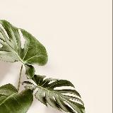 Аватарка канала Home Look