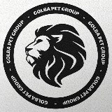 Аватарка канала پتشاپ گلبا | Petshop Golba