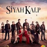 Аватар канала 1817539706