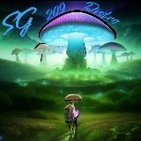 Аватарка канала SG