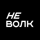Аватарка канала не волк