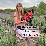 Аватарка канала Каталог растений/ферма Лесниченко