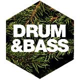 Аватарка канала Drum and Bass Archive - FLAC Music