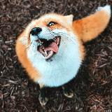 Аватар канала 2075931960