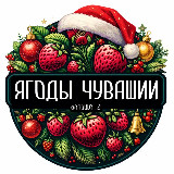 Аватарка канала Ягоды Чувашии 🍓