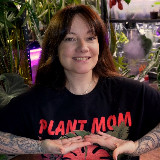 Аватарка канала 🌿 Kati_plants: комнатные растения СПб