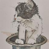 Аватарка канала 40catsFM🐈🐈‍⬛️