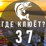 Аватарка канала Где клюёт? Иваново и область