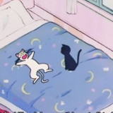 Аватарка канала purple astrology