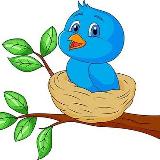 Аватарка канала Ptenchik.shop