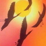 Аватарка канала В мире животных