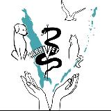 Аватарка канала SАКHVET