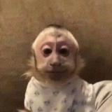 Аватарка канала "ФЫВФЫВ СТРИМЫ"