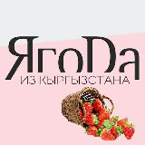 Аватарка канала Ягоды из Кыргызстана