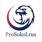 Аватарка канала ProSokol777 оптовый Магазин