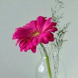 Аватарка канала Handmade 🍀 рукоделие