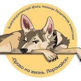 Аватарка канала БФ "Право на жизнь. Поронайск"