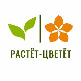 Аватарка канала Растет Цветет | Доставка цветов | Тверь