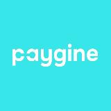 Аватарка канала Paygine
