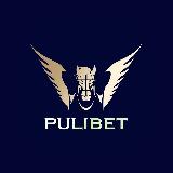 Аватарка канала Puli Türkiye 🇹🇷