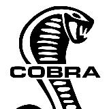 Аватарка канала "MMA Cobra"