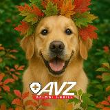 Аватарка канала АВЗ - производитель ветеринарных препаратов