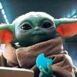 Yodinha Federal avatar