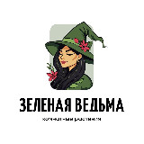 Аватарка канала Зеленая Ведьма 🪴🔥😍