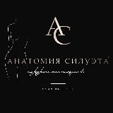 Аватарка канала Анатомия Силуэта® Пластический хирург Орлов Антон, абдоминопластика, маммопластика, бодилифт