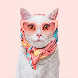 Аватарка канала Леди в тренде