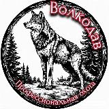 Аватарка канала Волкодав. Профессиональная охота.