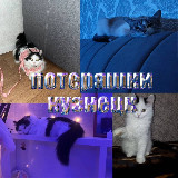 Аватар канала 2279933527