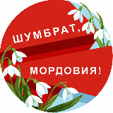 Аватарка канала Шумбрат, Мордовия!