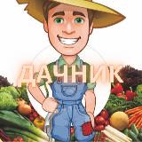 Аватарка канала ДАЧНИК