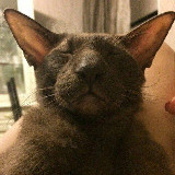 Аватарка канала Пхукет Аренда Rent Phuket