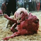 Аватар канала 1465466082