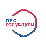 Аватарка канала про. Госуслуги
