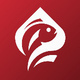 Аватарка канала Check-Check Club | Покер не на деньги | Москва