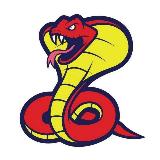 Аватарка канала Python работа