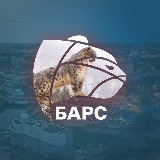 Аватарка канала IvanovoNEWS | Барс | Новости | Иваново
