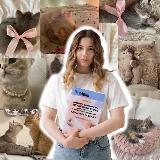 Аватарка канала английский и котики