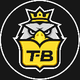 Аватарка канала Т-Воронеж | Типичный | Новости Воронежа