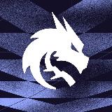 Аватарка канала Team Spirit MLBB