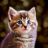 Аватарка канала FishWar: AI Gaming 🤖